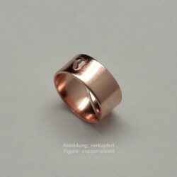 Ringschiene zum Einhängen