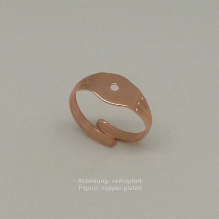 Ringschiene zum Nieten  - zum Nieten -